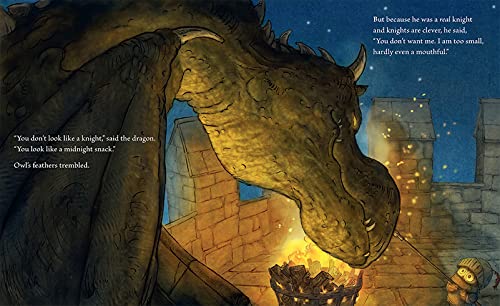 Illustrated fantasy scene showing a large dragon at a campfire in a stone tower at night, with printed text on the left and right sides.