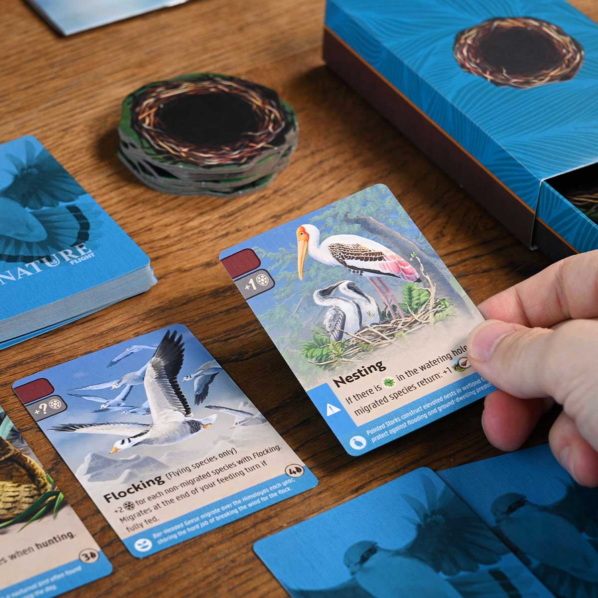 Board game cards with bird illustrations and a hand holding one card on a wooden surface.