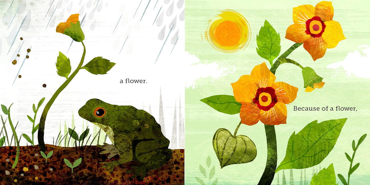 A children's book-style illustration with two illustrated panels. The left panel shows a green frog sitting beside a flower growing in soil under rain, with the caption 'a flower.