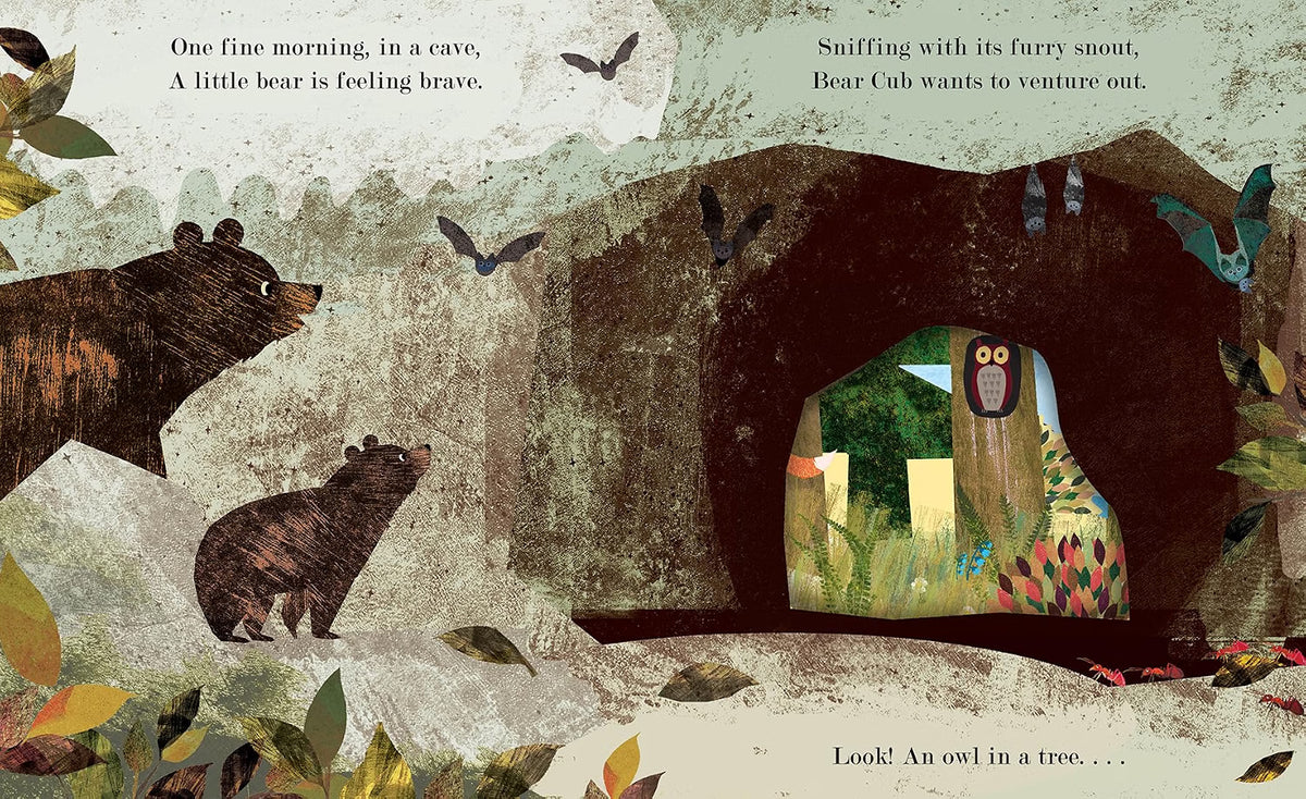 Illustration of a bear cub venturing out from a cave with an owl and butterflies.