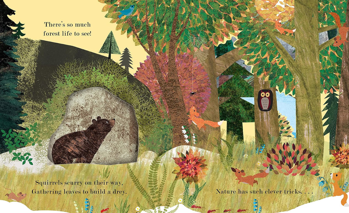 A colorful children's book illustration showing a forest scene with trees, flowers, an owl on a tree, and animals including a bear and squirrels. Text appears at the top and bottom, and the artwork fills the page.