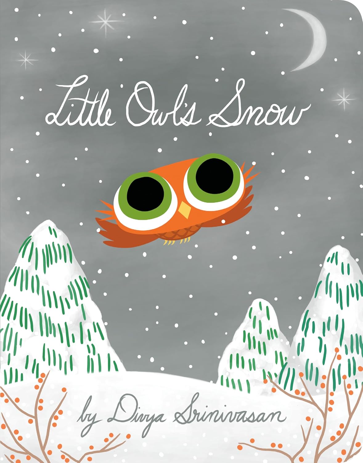 Little Owl's Snow by Divya Srinivasan (Author)