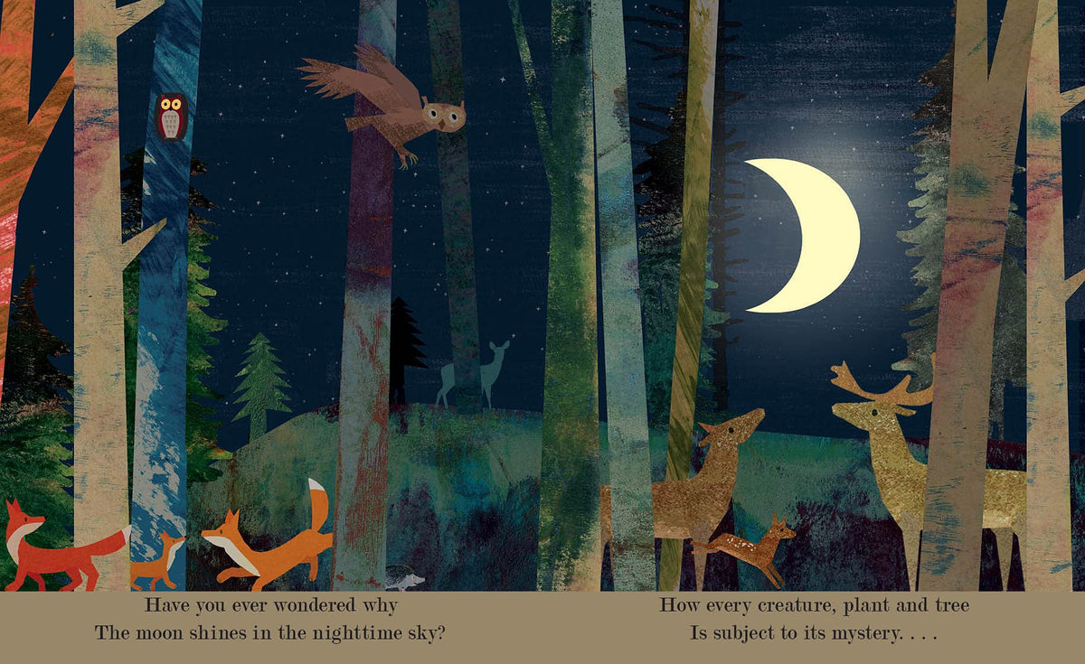 A children's book illustration showing a nighttime forest scene with trees, a crescent moon, an owl, foxes, deer, and birds. Text at the bottom reads, 'Have you ever wondered why The moon shines in the nighttime sky?' and 'How every creature, plant and tree Is subject to its mystery.
