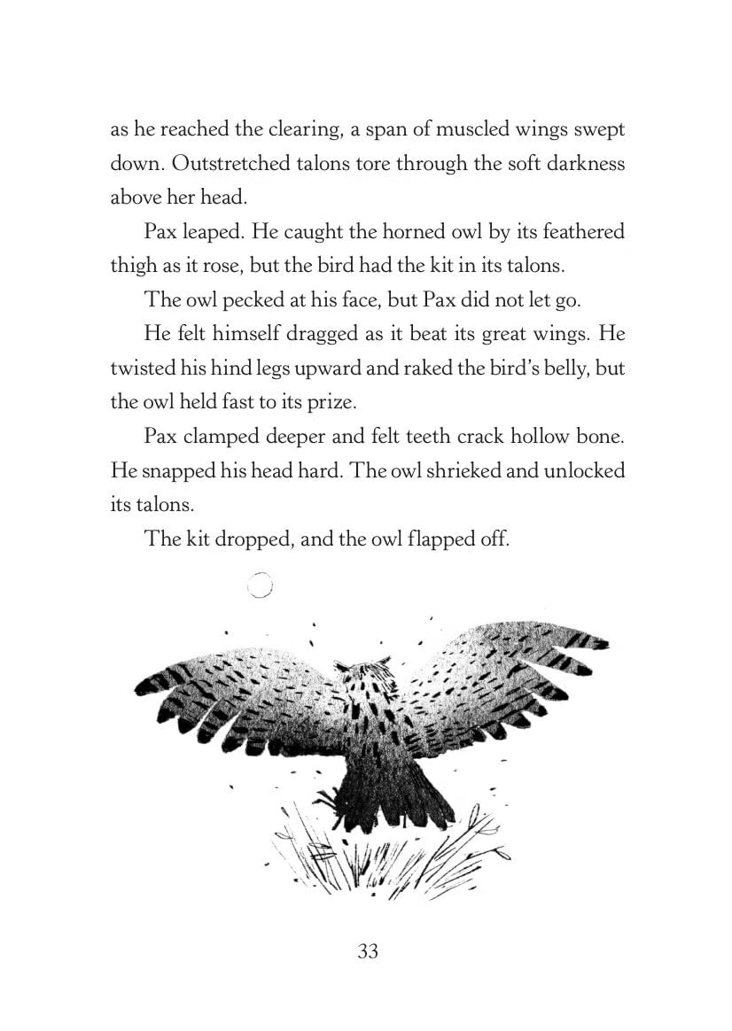 A printed book page with a black-and-white illustration of an owl in flight at the bottom, accompanied by a paragraph of text above it.