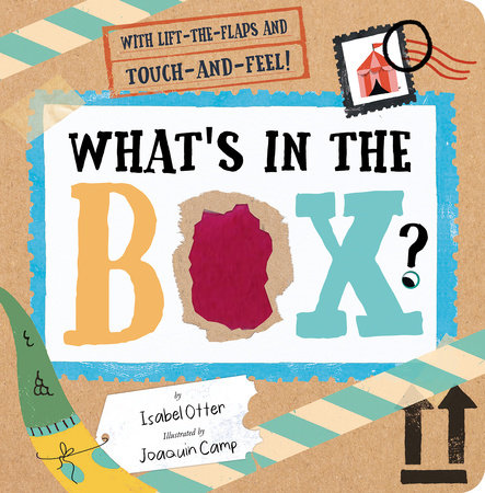 Cover art for What's In the Box? lift-the-flaps and touch-and-feel book